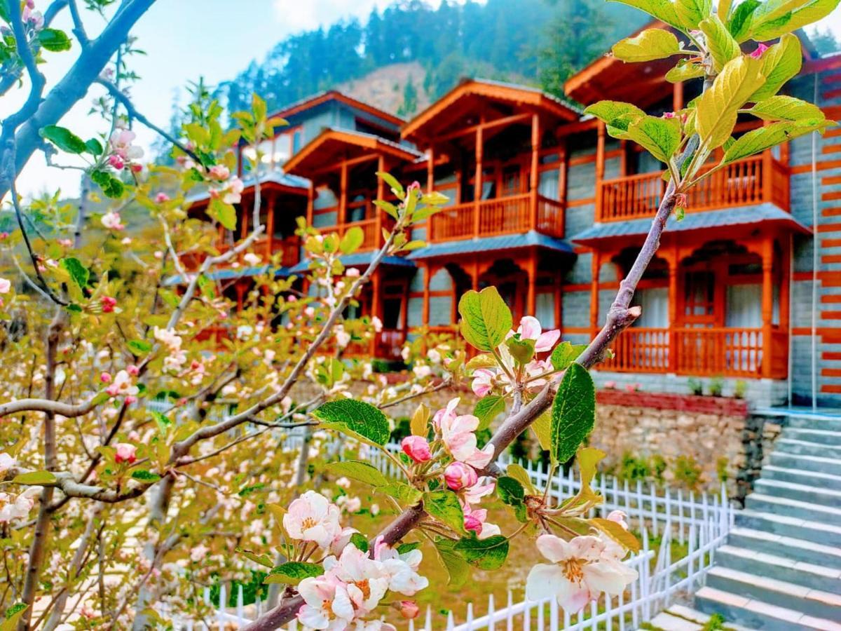 8Fold By Larisa, Jibhi Hotel Luaran gambar