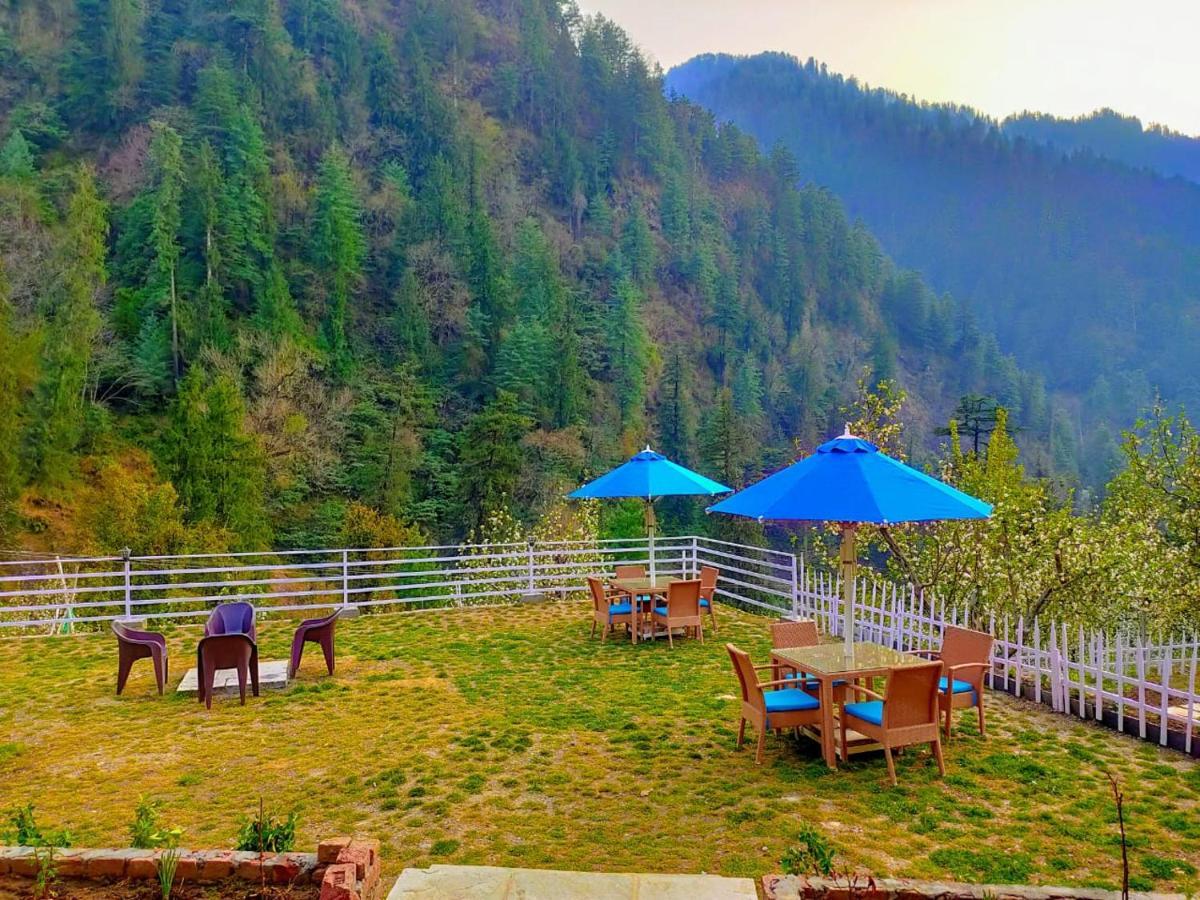 8Fold By Larisa, Jibhi Hotel Luaran gambar